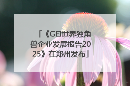 《GEI世界独角兽企业发展报告2025》在郑州发布