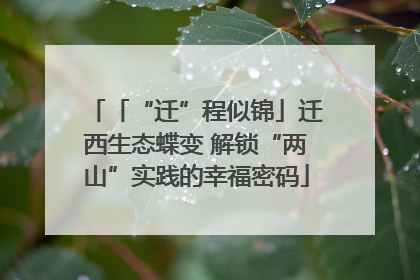 「“迁”程似锦」迁西生态蝶变 解锁“两山”实践的幸福密码