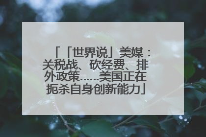 「世界说」美媒：关税战、砍经费、排外政策……美国正在扼杀自身创新能力