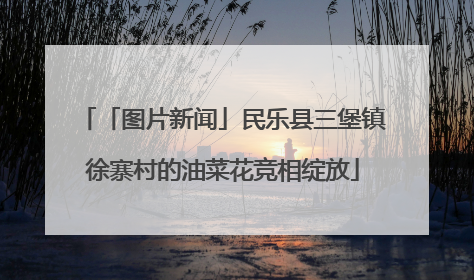 「图片新闻」民乐县三堡镇徐寨村的油菜花竞相绽放