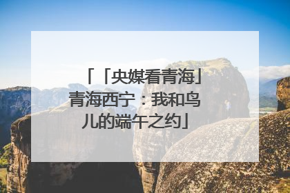 「央媒看青海」青海西宁：我和鸟儿的端午之约