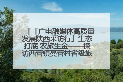 「广电融媒体高质量发展陕西采访行」生态打底 农旅生金——探访西营镇蔓营村省级旅游示范村的振兴密码