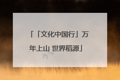 「文化中国行」万年上山 世界稻源