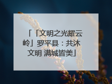 「文明之光耀云岭」罗平县：共沐文明 满城皆美