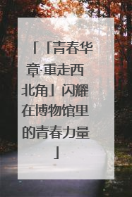 「青春华章·重走西北角」闪耀在博物馆里的青春力量