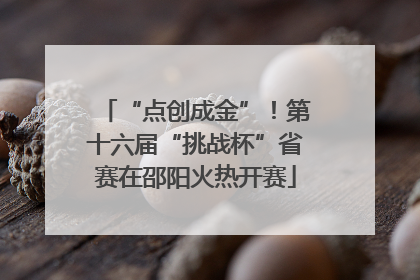 “点创成金”！第十六届“挑战杯”省赛在邵阳火热开赛