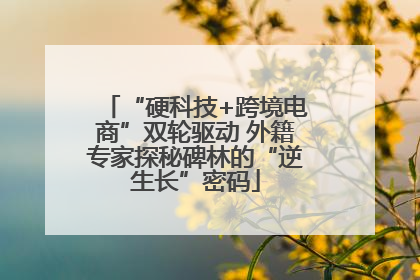 “硬科技+跨境电商”双轮驱动 外籍专家探秘碑林的“逆生长”密码