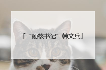 “硬核书记”韩文兵