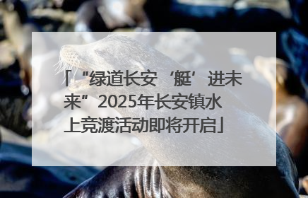 “绿道长安‘艇’进未来”2025年长安镇水上竞渡活动即将开启