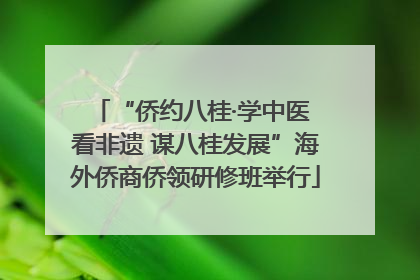 “侨约八桂·学中医 看非遗 谋八桂发展”海外侨商侨领研修班举行