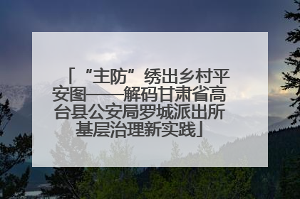“主防”绣出乡村平安图——解码甘肃省高台县公安局罗城派出所基层治理新实践