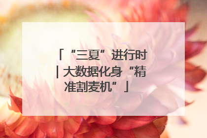 “三夏”进行时｜大数据化身“精准割麦机”