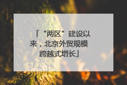 “两区”建设以来，北京外贸规模跨越式增长