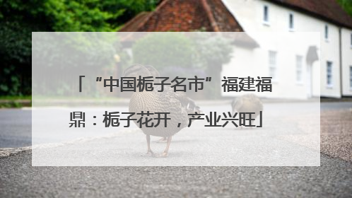 “中国栀子名市”福建福鼎：栀子花开，产业兴旺