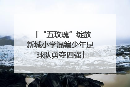 “五玫瑰”绽放 新城小学混编少年足球队勇夺四强
