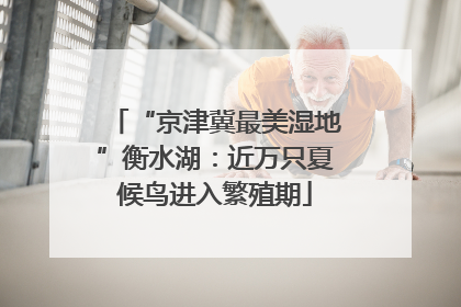 “京津冀最美湿地”衡水湖：近万只夏候鸟进入繁殖期