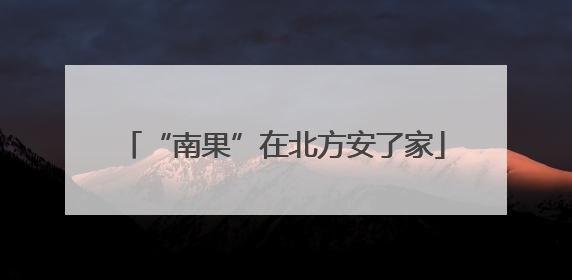 “南果”在北方安了家