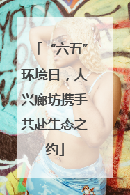 “六五”环境日，大兴廊坊携手共赴生态之约