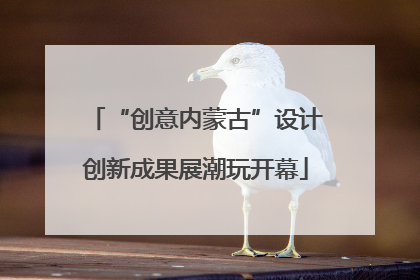 “创意内蒙古”设计创新成果展潮玩开幕