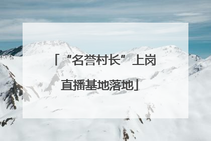 “名誉村长”上岗 直播基地落地