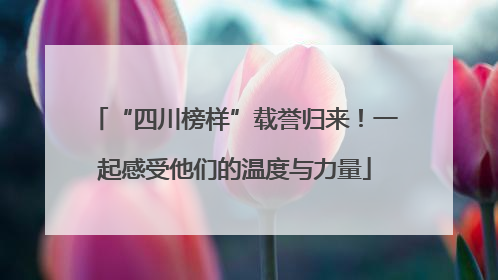 “四川榜样”载誉归来！一起感受他们的温度与力量