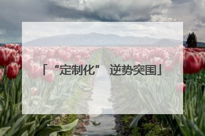 “定制化” 逆势突围