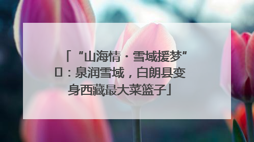 “山海情・雪域援梦”⑪：泉润雪域，白朗县变身西藏最大菜篮子