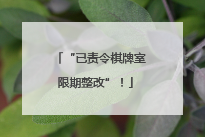 “已责令棋牌室限期整改”！