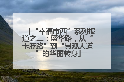 “幸福市西”系列报道之二：盛华路，从“卡脖路”到“景观大道”的华丽转身