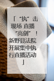 “执”击现场 直播“亮剑”！新野县法院开展集中执行直播活动