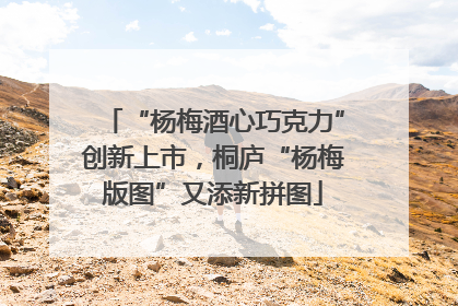 “杨梅酒心巧克力”创新上市，桐庐“杨梅版图”又添新拼图
