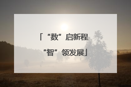 “数”启新程 “智”领发展