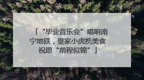 “毕业音乐会”唱响南宁地铁，皇家小虎携美食祝愿“前程似锦”