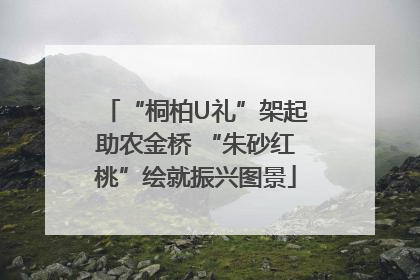 “桐柏U礼”架起助农金桥 “朱砂红桃”绘就振兴图景