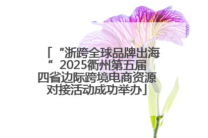 “浙跨全球品牌出海”2025衢州第五届四省边际跨境电商资源对接活动成功举办