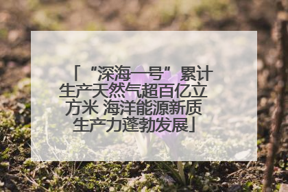 “深海一号”累计生产天然气超百亿立方米 海洋能源新质生产力蓬勃发展