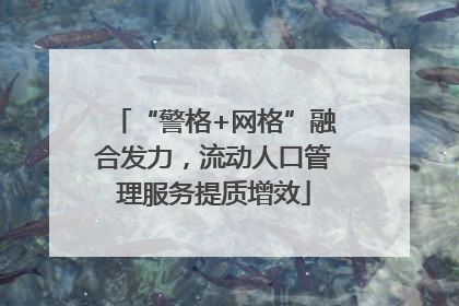 “警格+网格”融合发力，流动人口管理服务提质增效