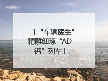 “车辆医生”精雕细琢“AD钙”列车