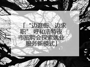 “边逛街、边求职” 呼和浩特夜市招聘会探索就业服务新模式