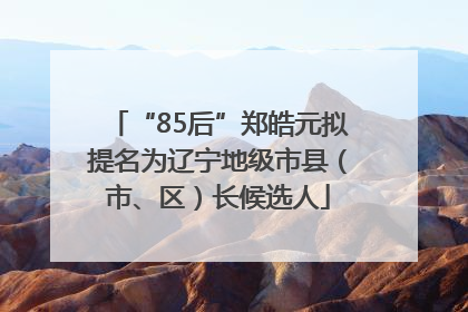 “85后”郑皓元拟提名为辽宁地级市县（市、区）长候选人