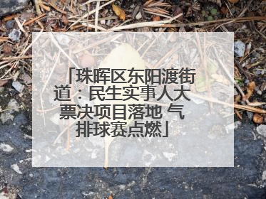 珠晖区东阳渡街道：民生实事人大票决项目落地 气排球赛点燃