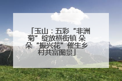 玉山：五彩“非洲菊”绽放横街镇 朵朵“振兴花”催生乡村共富图景