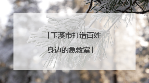 玉溪市打造百姓身边的急救室