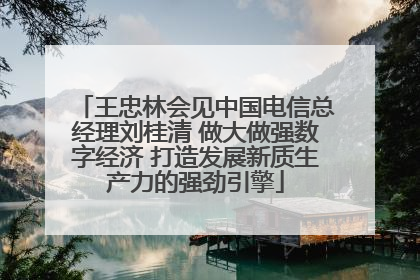 王忠林会见中国电信总经理刘桂清 做大做强数字经济 打造发展新质生产力的强劲引擎