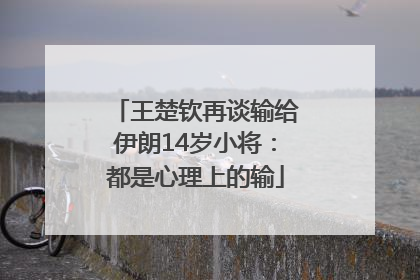 王楚钦再谈输给伊朗14岁小将：都是心理上的输