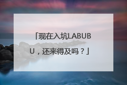 现在入坑LABUBU，还来得及吗？