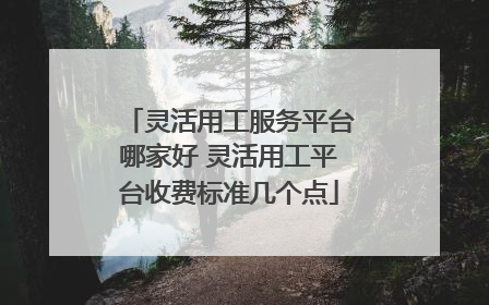 灵活用工服务平台哪家好 灵活用工平台收费标准几个点