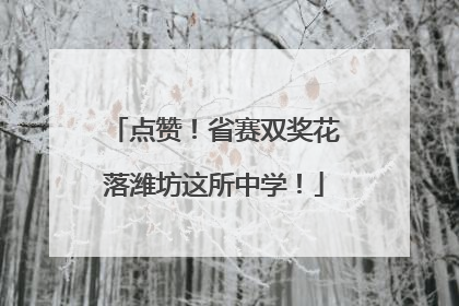 点赞！省赛双奖花落潍坊这所中学！