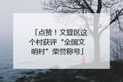 点赞！文登区这个村获评“全国文明村”荣誉称号