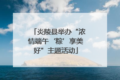 炎陵县举办“浓情端午‘粽’享美好”主题活动
